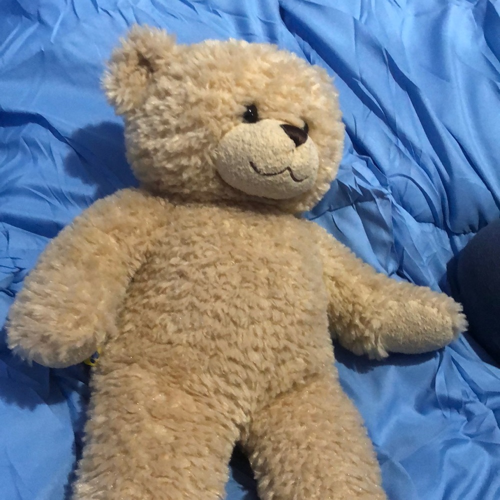 Bear